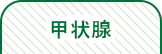 甲状腺